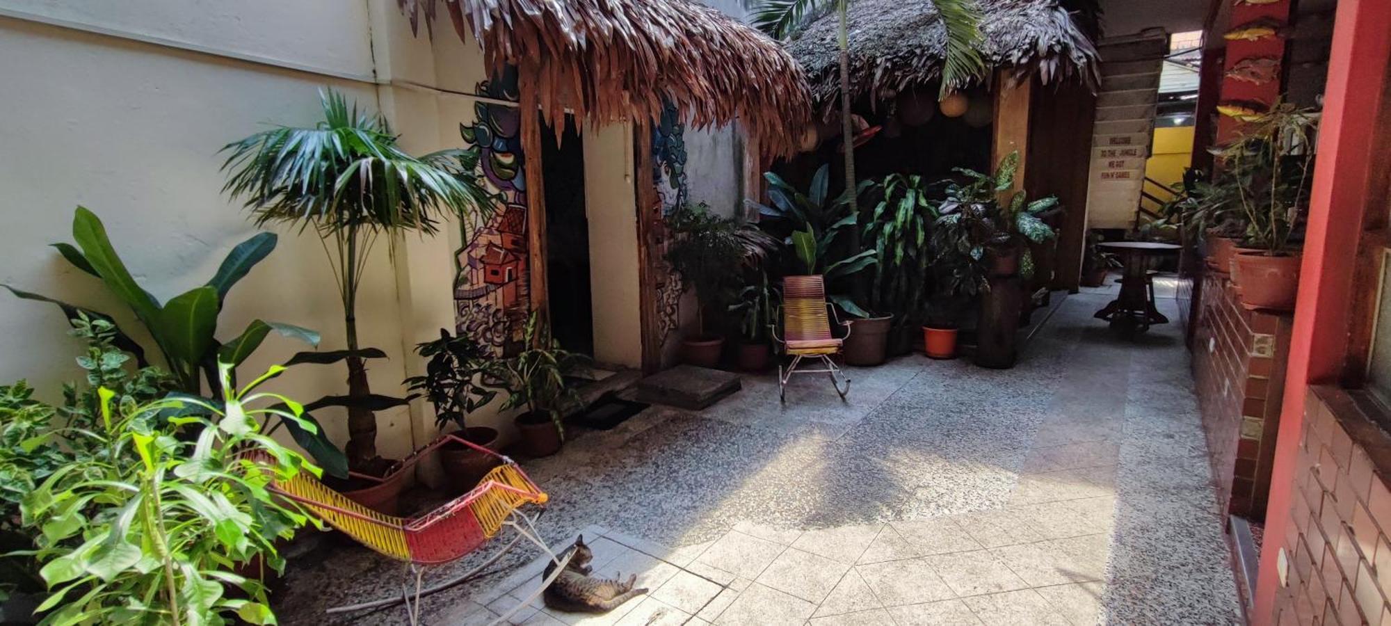 Flying Dog Hostel Iquitos Exterior photo