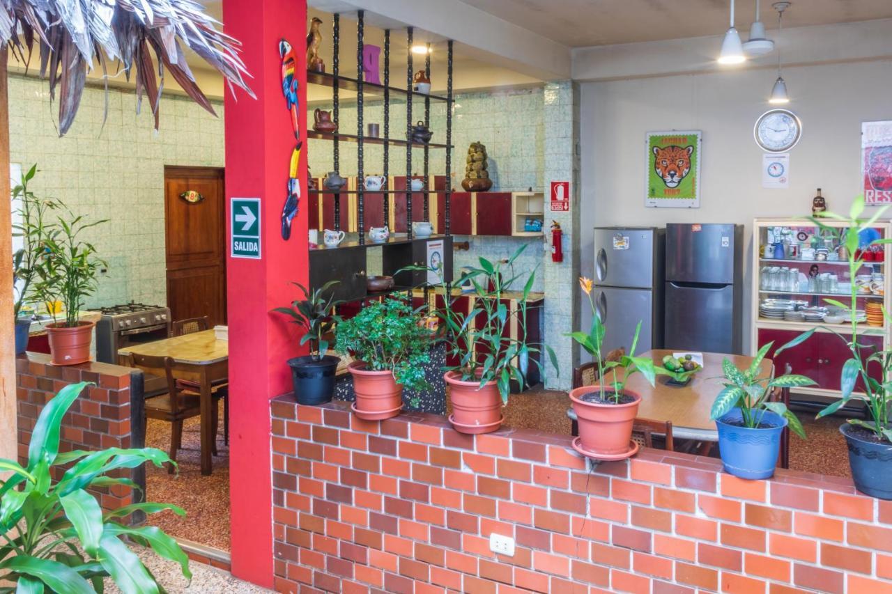 Flying Dog Hostel Iquitos Exterior photo