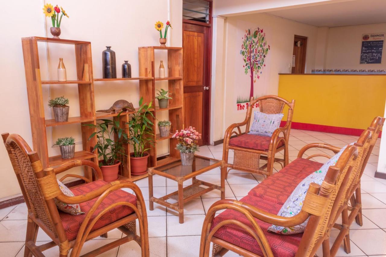 Flying Dog Hostel Iquitos Exterior photo